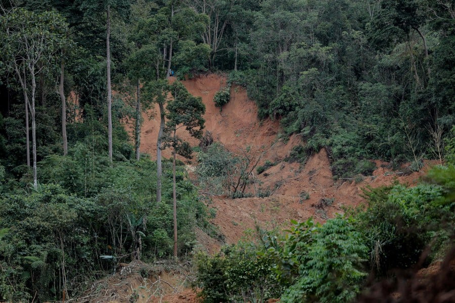 The landslide in Jalan Batang Kali - Goh Tong, which has so far claimed 16 lives, is the latest in a long list of such disasters in Malaysia. -BERNAMA PIC