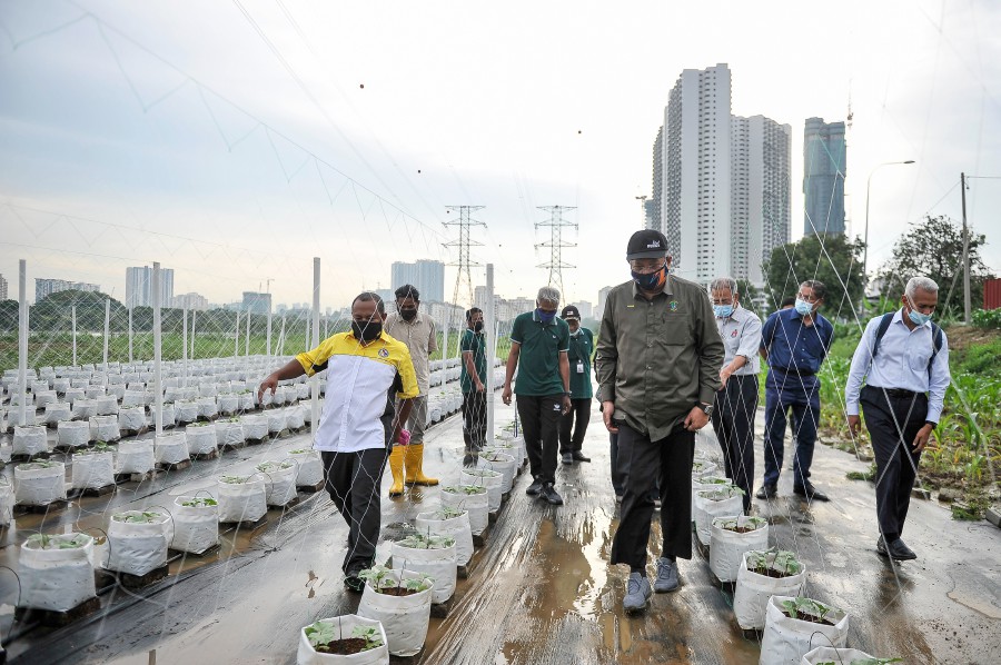Federal Territories Minister Tan Sri Annuar Musa said the project which would be carried out in Putrajaya by the end of this year was a continuation of the ‘Hijrah Warrior’ urban farm project which was being implemented at the Anjung Kelana Transformation Centre here. - Bernama pic