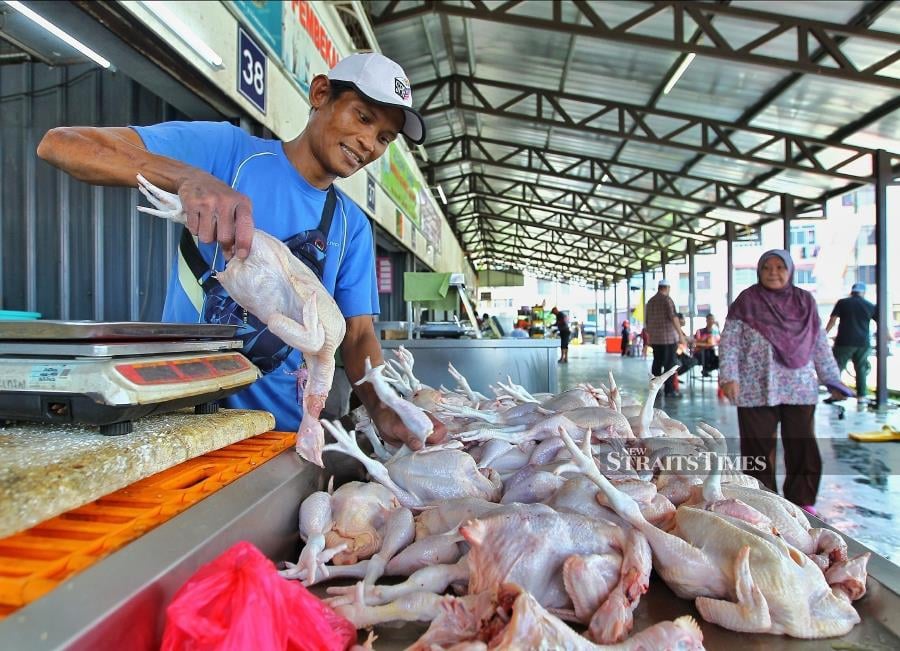 There were many chicken producers in the country and consumers can differentiate prices and the quality of products offered by each producer. - NSTP/AZRUL EDHAM