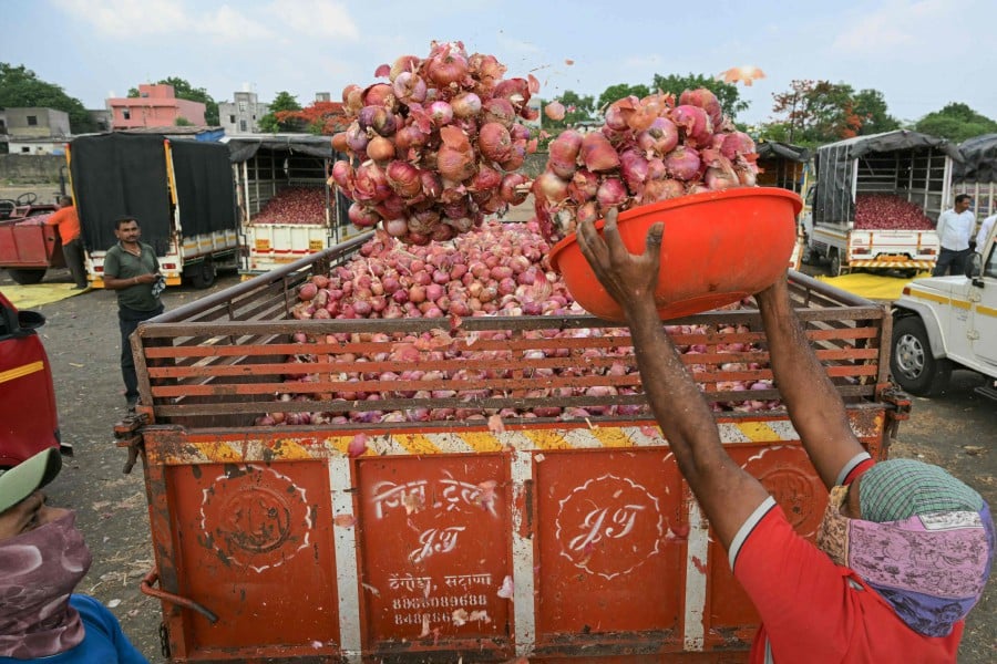 In this photo taken on May 21, 2024, farmers load onions onto their trucks after auction at a market in Nashik. Almost every Indian meal requires an onion -- one of the cooking essentials along with sugar and lentils that sweet-talking politicians use to curry favour with their voters by lowering costs. AFP