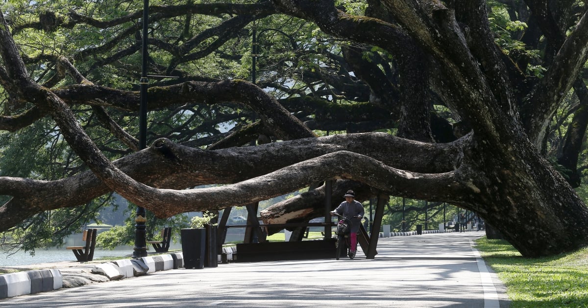 Taiping Is No 3 Most Sustainable City In The World