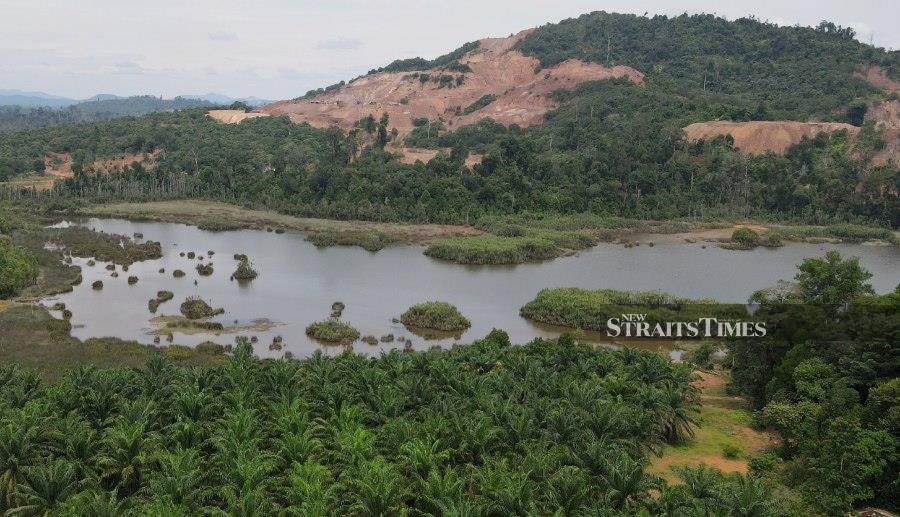 Culprits for some mysterious reasons have achieved the status of unmentionables. Until, of course, there is a royal intervention as in Tasik Chini. - NSTP/FARIZUL HAFIZ AWANG