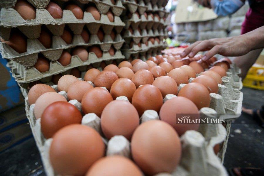 The government will import between two and 10 million chicken eggs daily from India starting Thursday until the egg supply in the country stabilises. - NSTP/ASWADI ALIAS