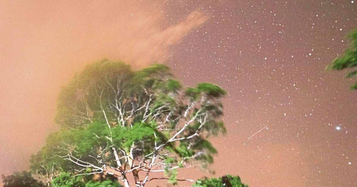 Perseid meteor shower display peaks on Aug 12 in Malaysian night skies ...