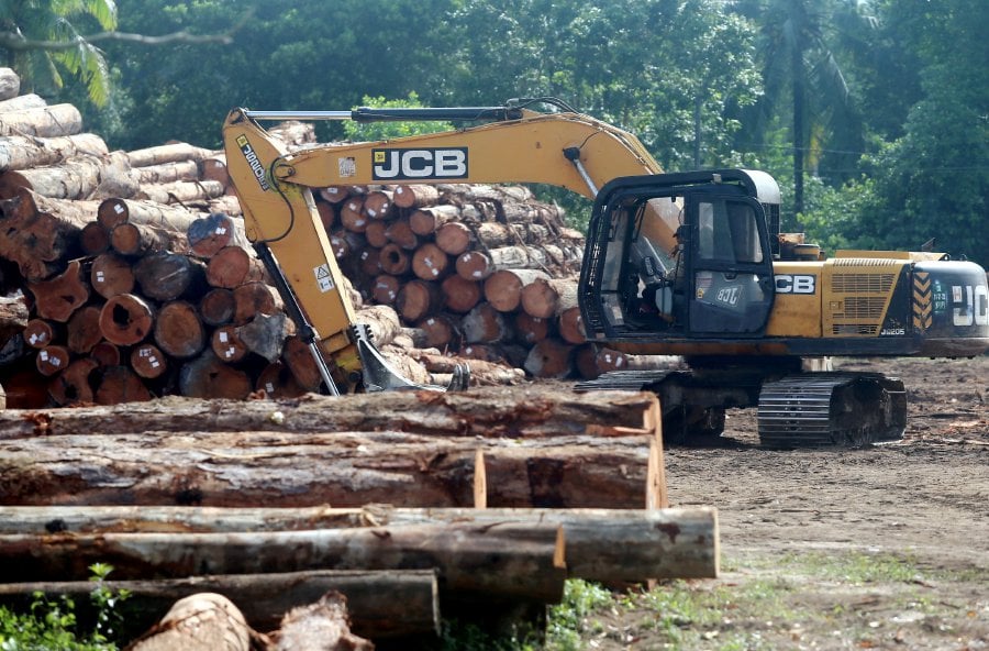 The Ministry of Agriculture and Commodities (KPK) targets timber industry exports to reach RM28 billion by 2030.
