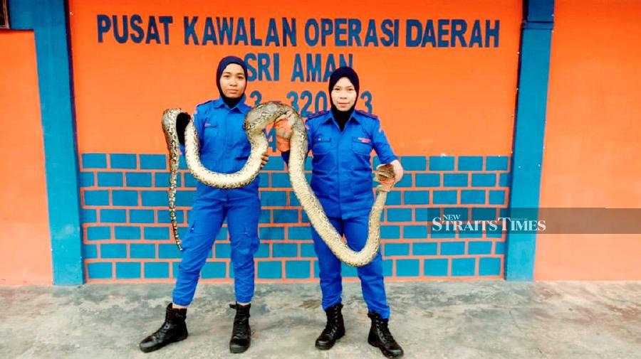 State Civil Defence Department (APM) public relations officer Siti Huzaimah Ibrahim (Right) said, in the 4.30pm incident, a cook had made the slithery discovery and alerted the security guard, who then contacted the Civil Defence Force. Pic by NSTP/Courtesy of APM