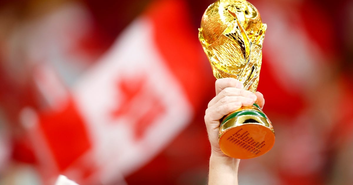 FIFA World Cup  World cup trophy, Brazil world cup, World cup