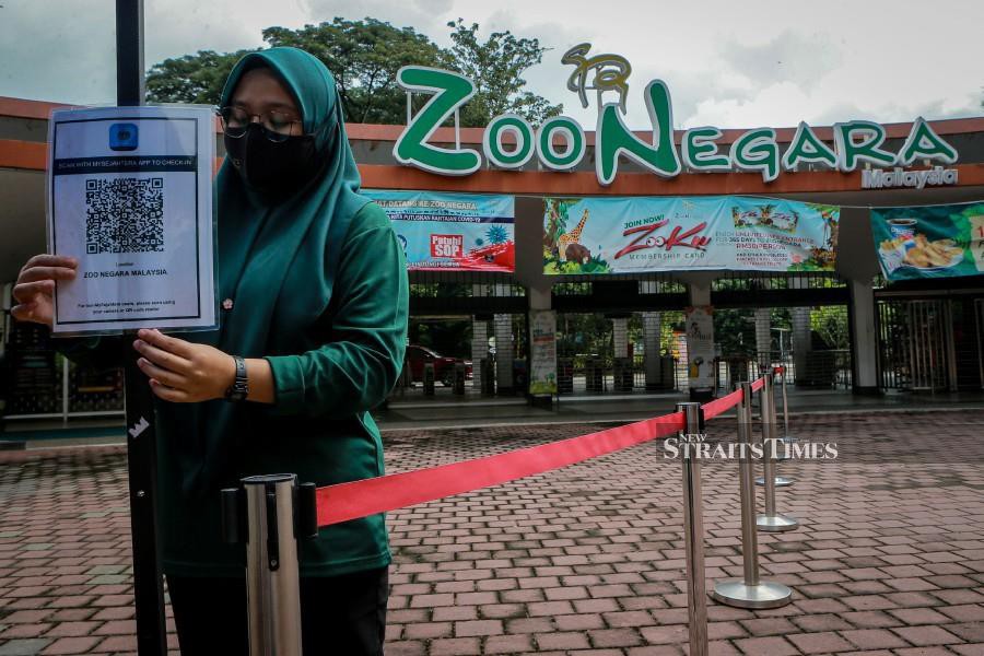 Zoo Negara reopens to the public tomorrow [NSTTV]