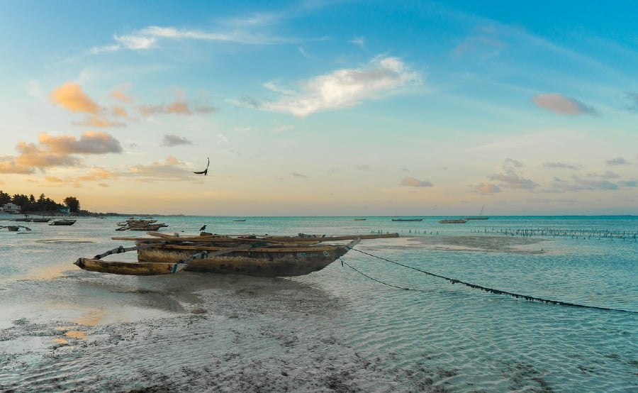 Turtle meat is considered an exotic food in Zanzibar, but if consumed frequently, it can lead to death due to chelonitoxism, a type of food poisoning. 