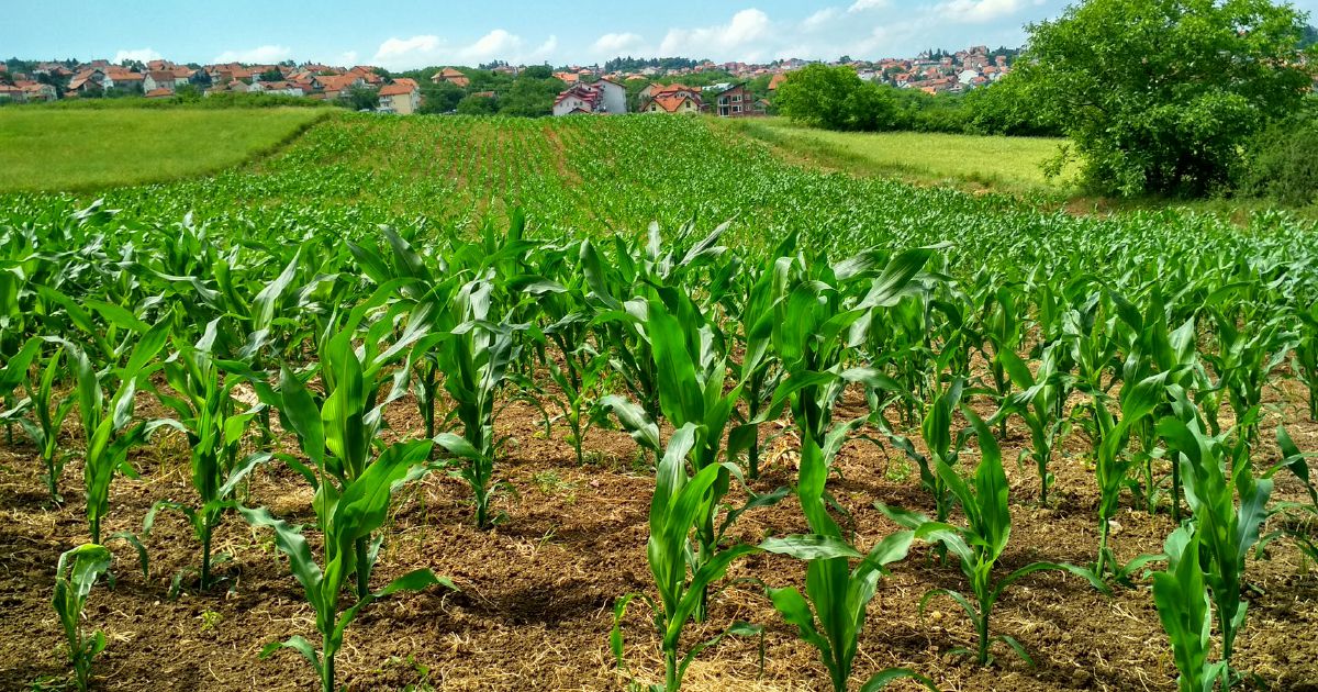 Offering Land The First Step To Get Millennials Into Farming