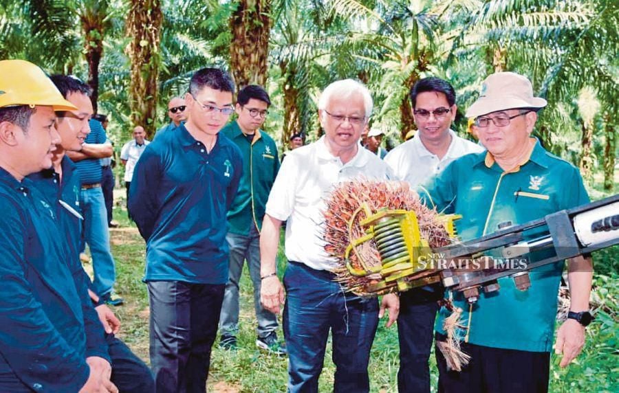Sarawak plantation share price