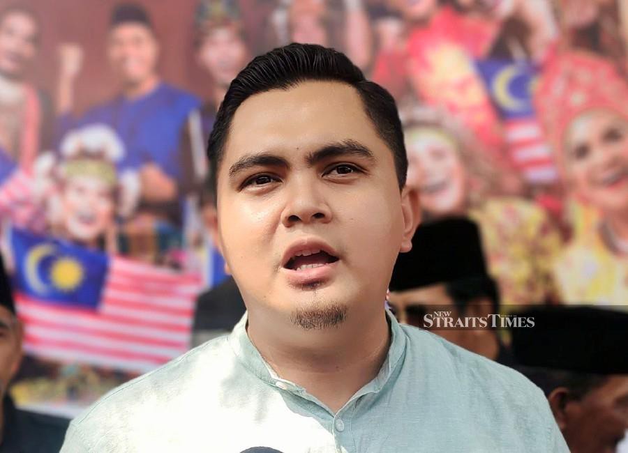 Umno Youth plan nationwide tour to drum up support for Najib case ...