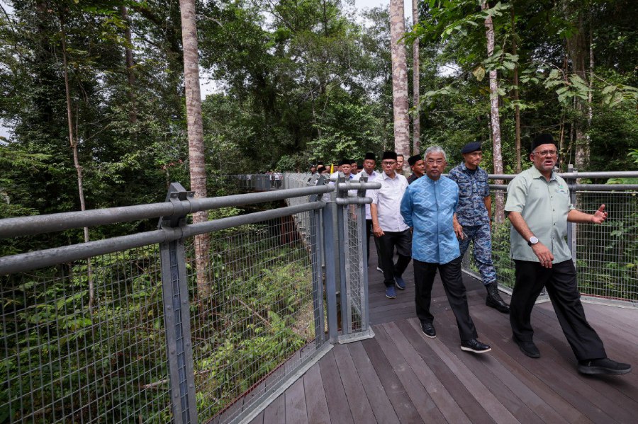  LIPIS - Yang di-Pertuan Agong, Al-Sultan Abdullah Ri’ayatuddin Al-Mustafa Billah Shah checking out the Taman Negara Sungai Relau Tree Top Walk. After being accorded National Geopark status, the Lipis district is eyeing to be recognised as a Unesco Global Geopark by 2026. -- BERNAMA PIC