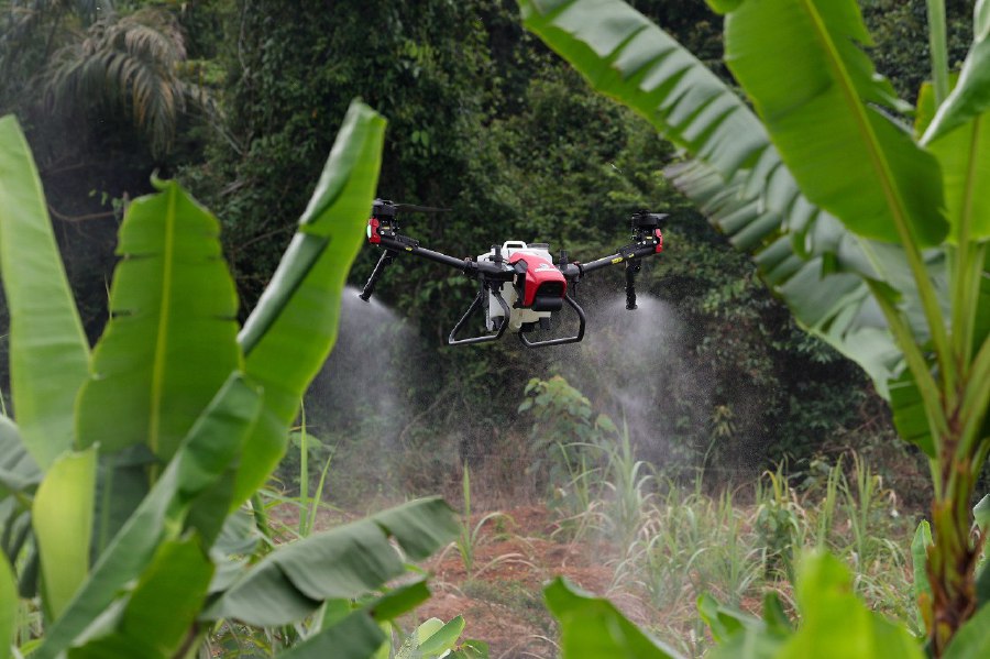 NILAI - An aerial drone (UAV) is employed for the precise spraying and fertilisation of plants in the state-of-the-art integrated farm in Labu Hili. -- BERNAMA PIC