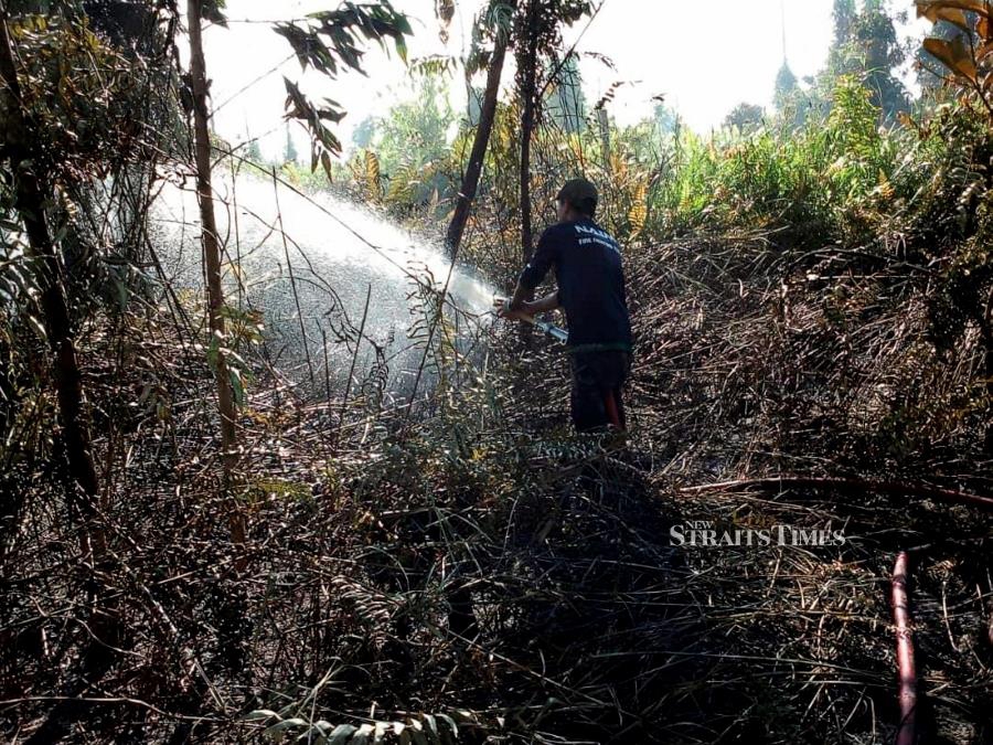  Forest fires were also reported in Bintulu, Kuching and Sarikei, believed to be due to the hot and dry weather affecting the state. (NSTP/Fire and Rescue Department)