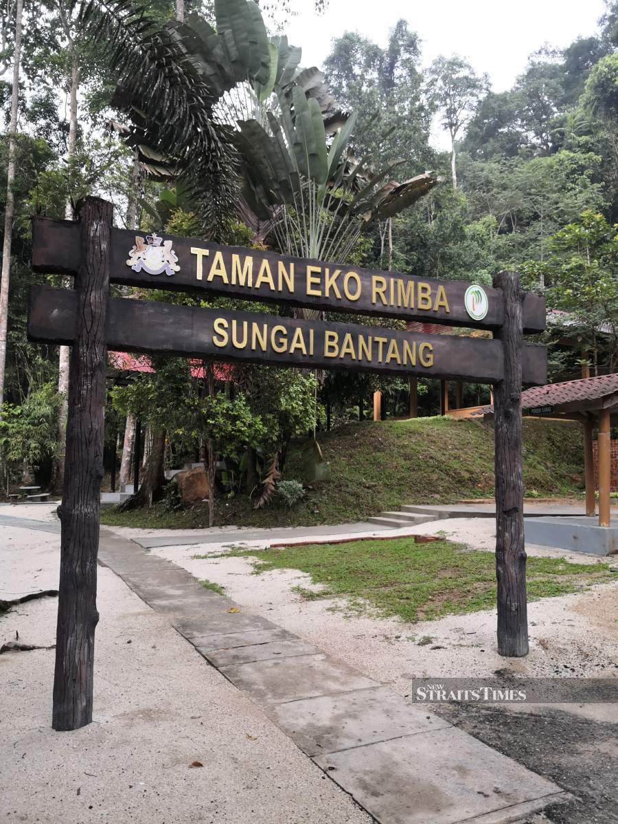 Taman Eko Rimba Sungai Bantang is popular among those eager to get close to nature.
