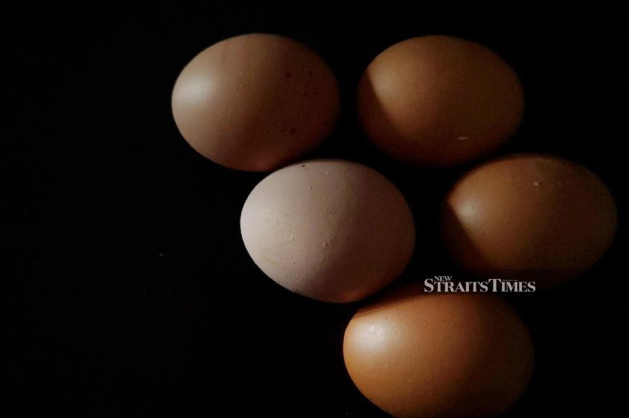 Vet Dept Confirms Another Egg Recall In Singapore