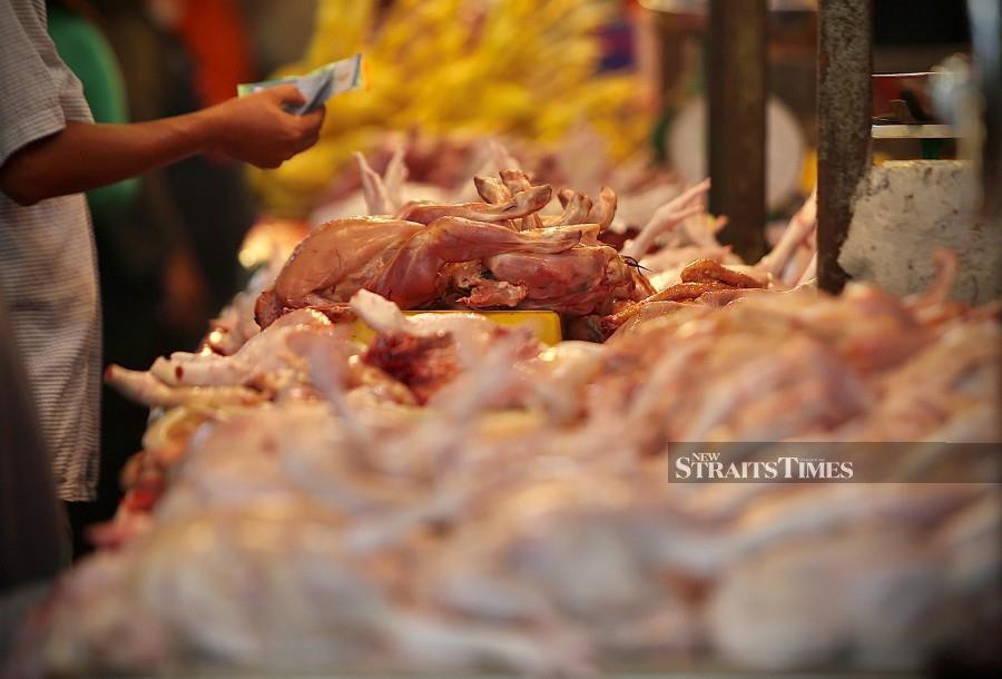 The cabinet will decide today whether the export ban on chicken would be lifted, Domestic Trade and Consumer Affairs (KPDNHEP) deputy minister Datuk Rosol Wahid said. - NSTP/AZHAR RAMLI