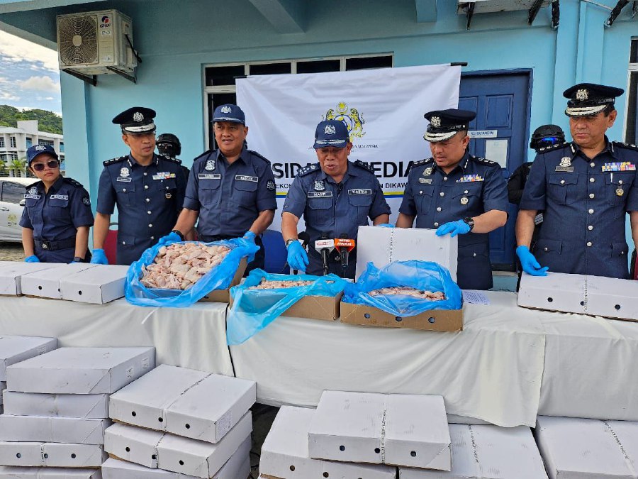 Sabah Customs seizes RM2.75mil worth of frozen chicken [NSTTV] | New ...