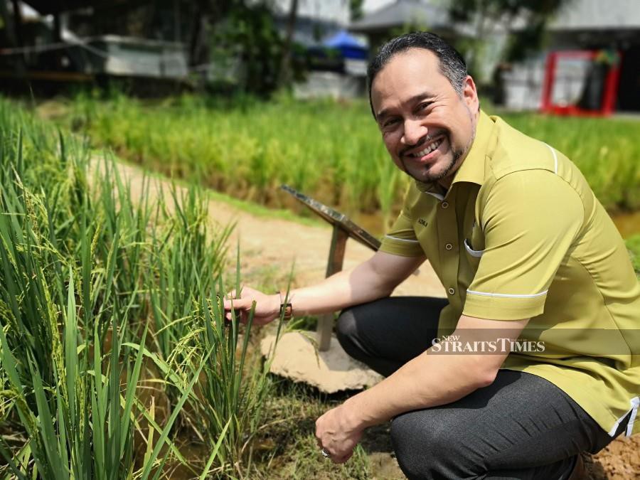 Dr Azmil Munif admiring padi yields at Laman Padi.
