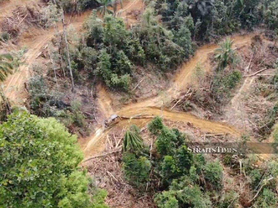 Aerial view of the alleged logging site at the Kuala Raka forest reserve located behind the Taman Shahbandar Heights housing settlement in Bentong. - Pix courtesy of Bilut assemblyman Lee Chin Chen