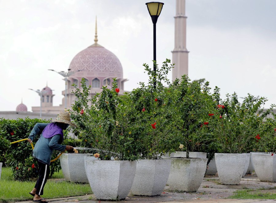  PUTRAJAYA: A landscape worker waters plants here in Putrajaya on Thursday (May 11) following the continuous hot and humid weather. - BERNAMA PIC