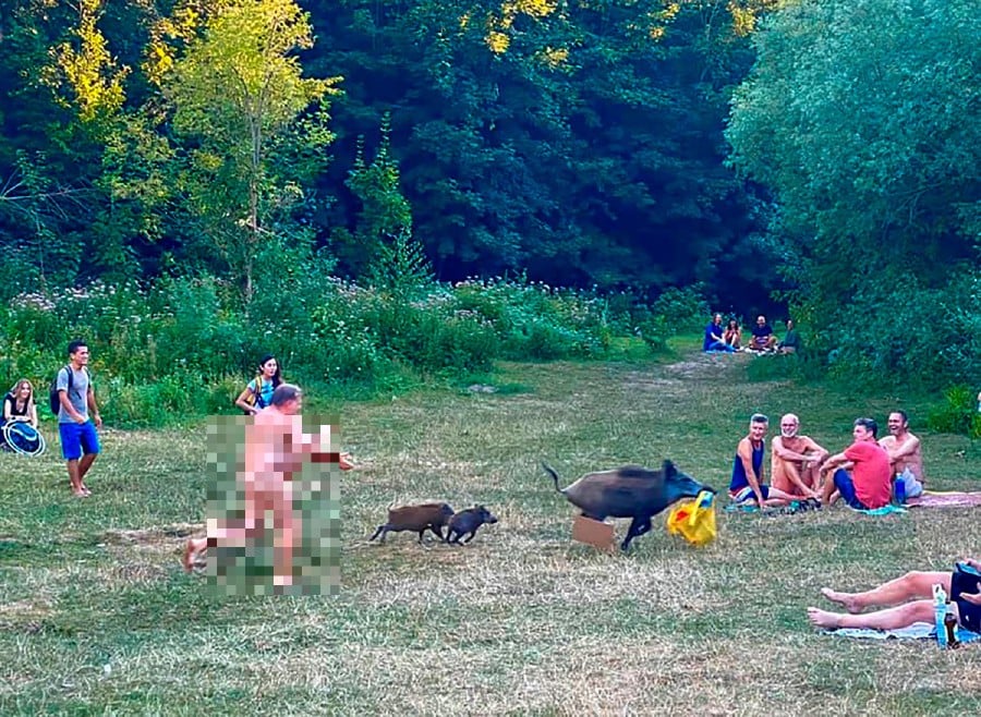 Fkk nudist video - Hot Nude