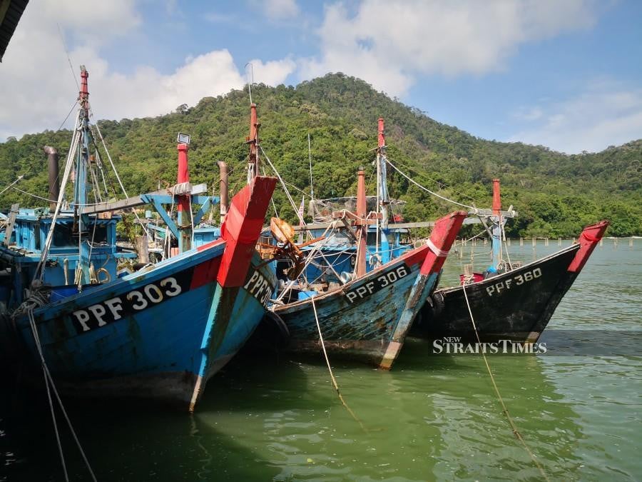 Boats moored at the the Teluk Bahang jetty with the Penang National Park in the background.