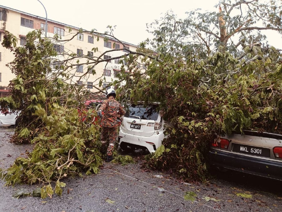 A tree fell during a storm in the Rawang area, damaging three vehicles parked at the Sri Kemboja Apartments in Bukit Sentosa. Picture courtesy of Fire and Rescue Department