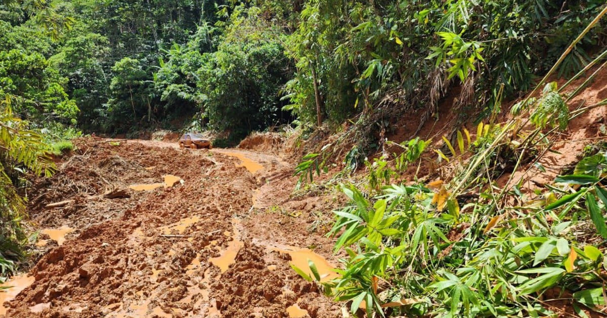 Landslide leaves 1,000 Orang Asli in Pos Gob stranded | New Straits Times