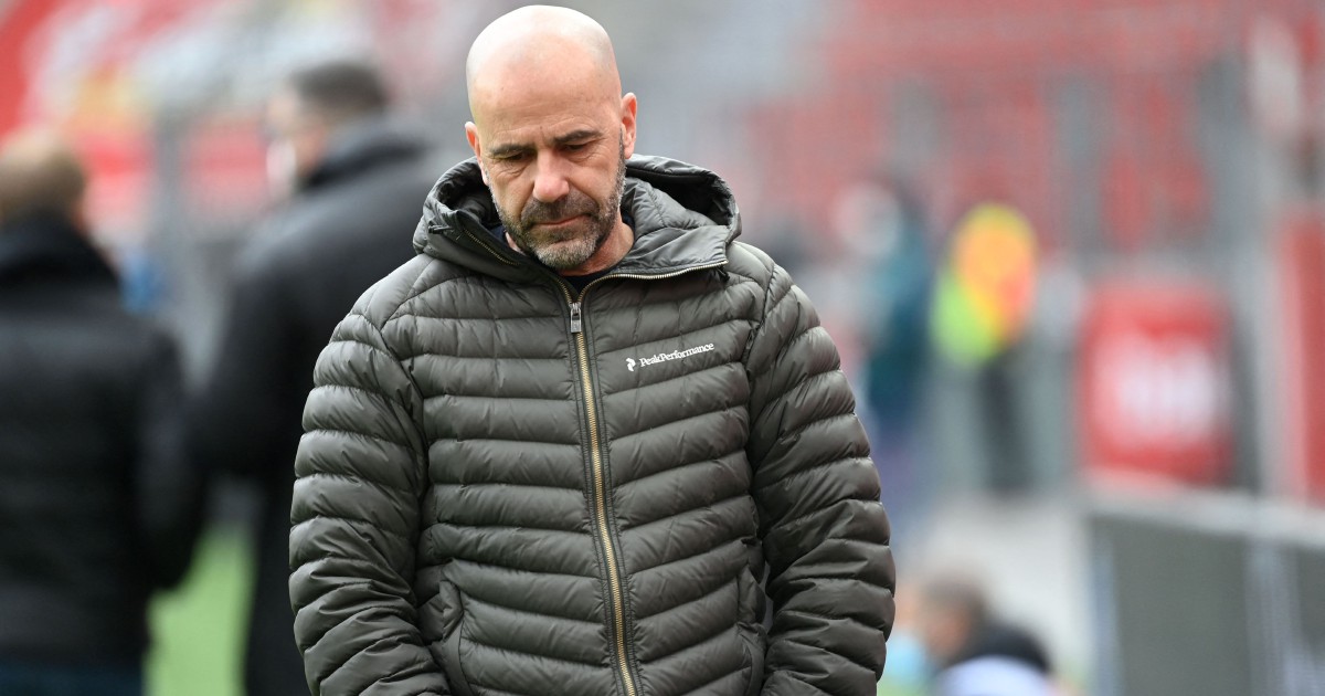 Leverkusen fire Bosz after slump, Wolf takes charge