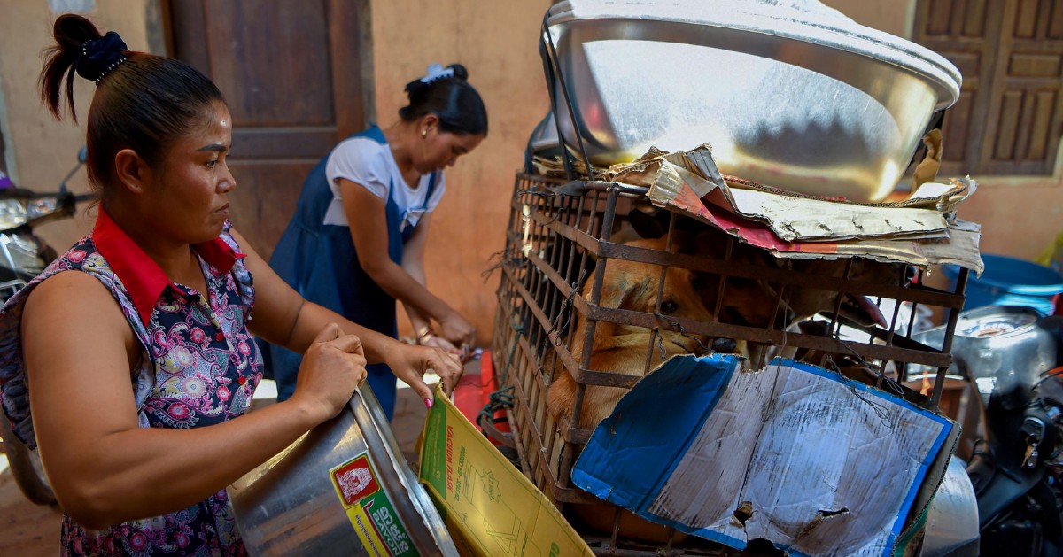 Women S Rights Situation In Cambodia Still A Concern New Straits Times   Cambodiiii NSTfield Image Socialmedia.var 1573722442 