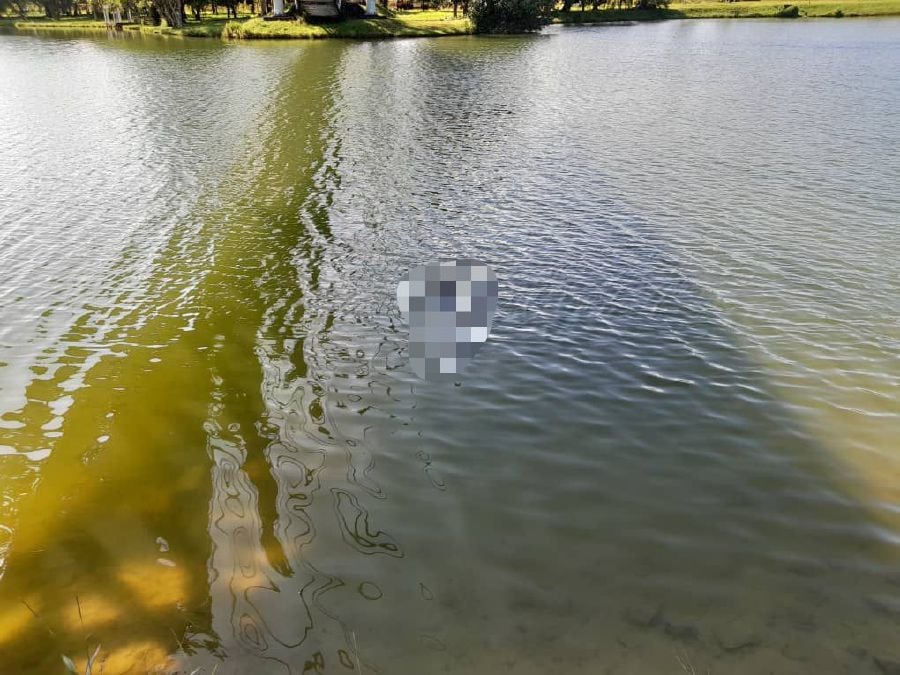A photo provided by the Fire and Rescue Department showing the body of the student floating on the campus lake. -- Courtesy pic