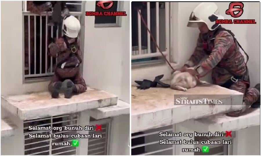  A video posted on the Bomba Channel’s Facebook page captured the heartwarming moment when firefighters rescued the two cats from the balcony of a building. — Screen grab from Bomba Channel