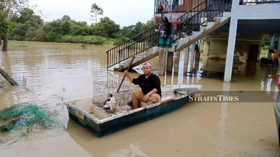For Adha Abdullah, 17, the experience of failing to save some of their and their acquaintances' cats left behind in their house in Kampung Seberang Batu Badak, Segamat when the flood struck last March is one of the most difficult to forget. - NSTP/ AHMAD ISMAIL