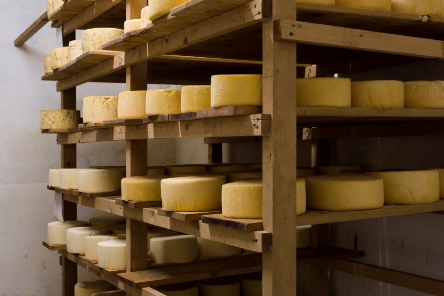 Giacomo Chiapparini was buried under the cheeses when a shelf broke in his warehouse in the northern Lombardy region on Sunday - Image by freepik