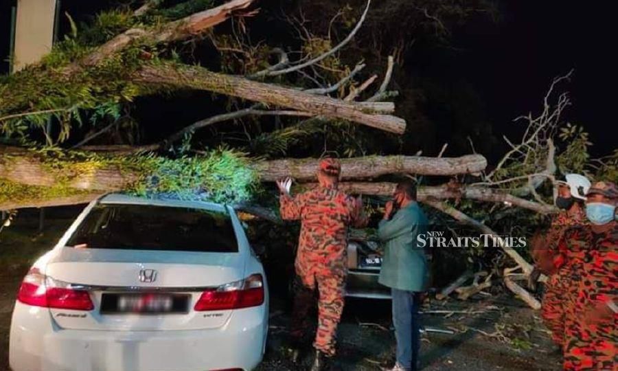 Firemen at the scene after two cars were damaged when a tree fell in Kampung Geliga Besar. - NSTP/Courtesy of Fire and Rescue Dept. 