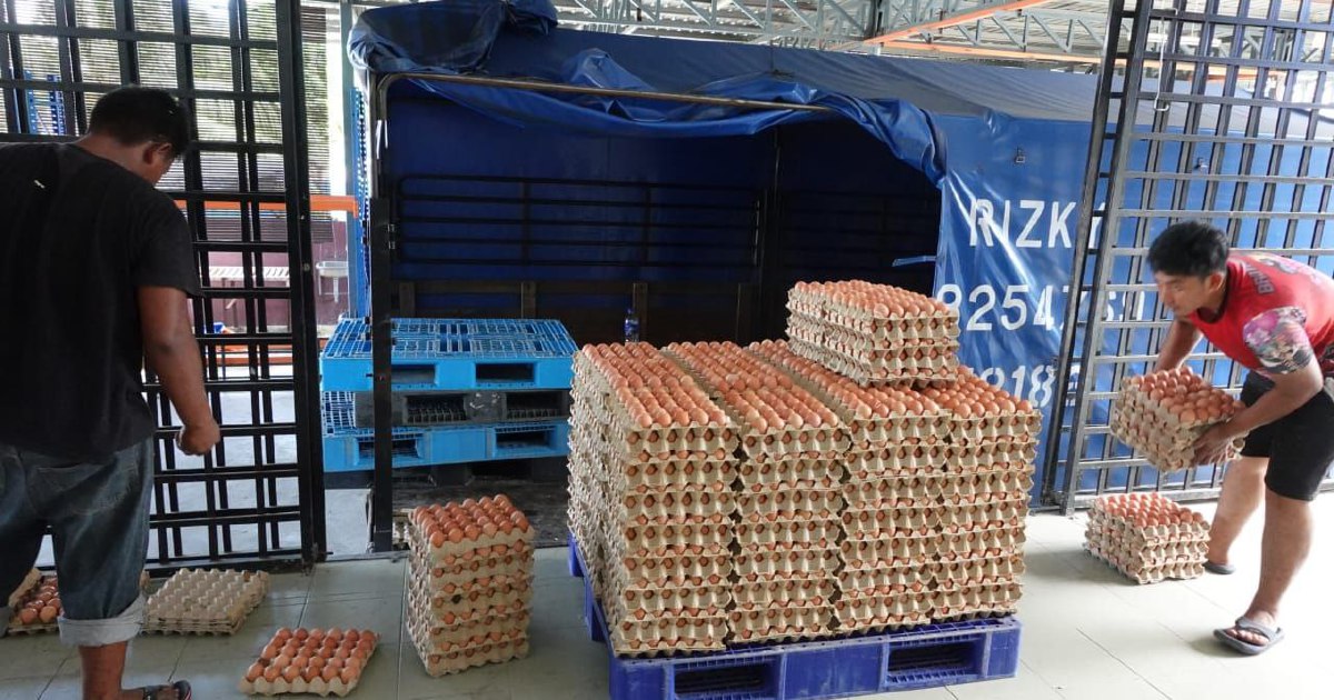 Egg prices remain elevated in October | New Straits Times