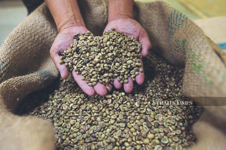 Fuelled by rising cocoa and coffee bean prices, the food and beverage (F&B) sector is likely to undergo a reevaluation of its supply chains. PIC by GENES GULITAH
