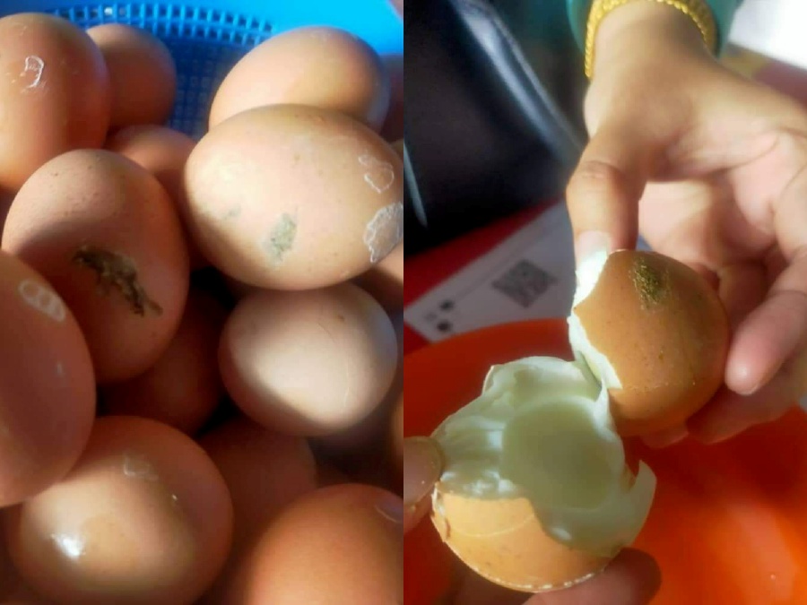 Kuantan City Council (MBK) Corporate and Public Communications section head Norkamawati Kamal said among the offences committed were boiling faeces-tainted chicken eggs, employing workers without health cards, not wearing aprons or head covers and using damaged utensils and plates. - Pic courtesy of MBK