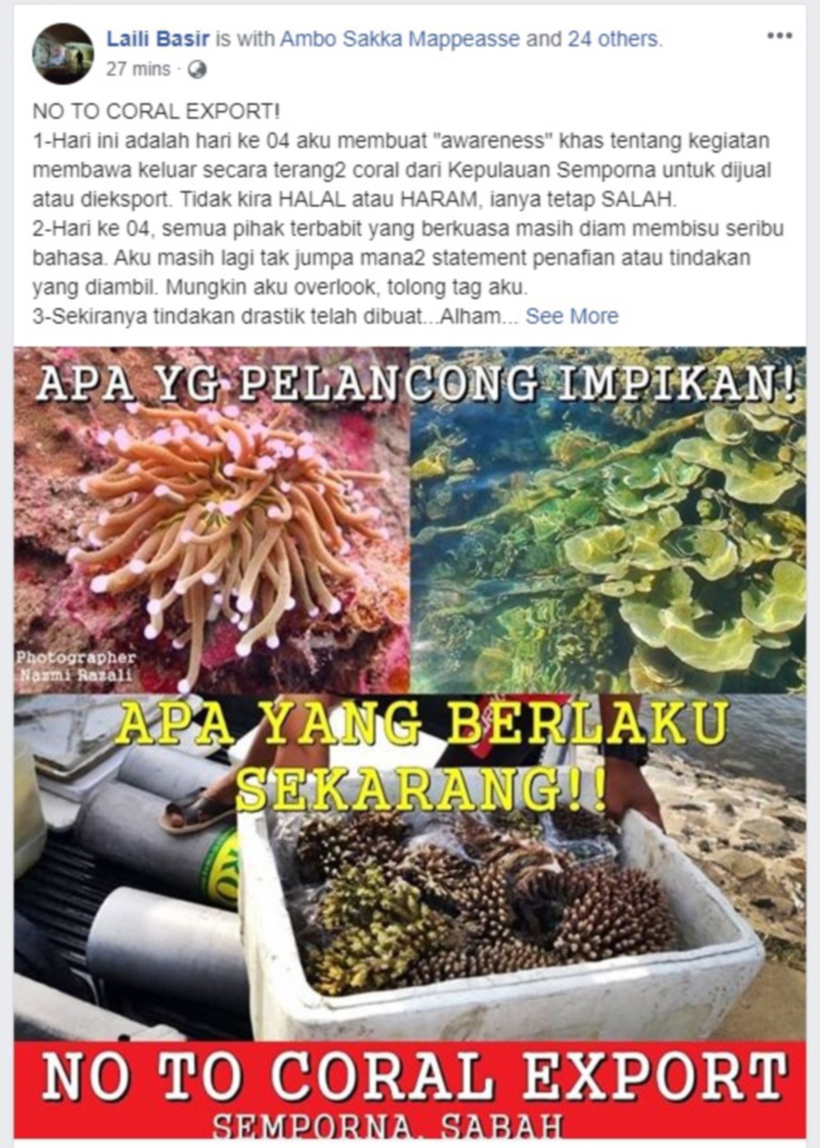A Facebook user under the name of "Laili Basir" has recently uploaded several pictures of activities of moving live corals in a polystyrene box on a four-wheel vehicle. (Pic screenshot from Laili Basir Facebook) 