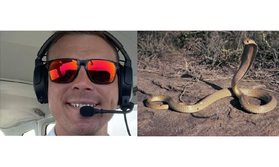 South African Pilot Faces 'Snakes On A Plane' Moment With Cobra In Cockpit