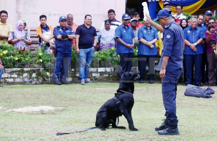 A Customs Department dog handler at the Smuggling Prevention Campaign at SK Duyong. (NSTP/MUHAMMAD ZUHAIRI ZUBER)