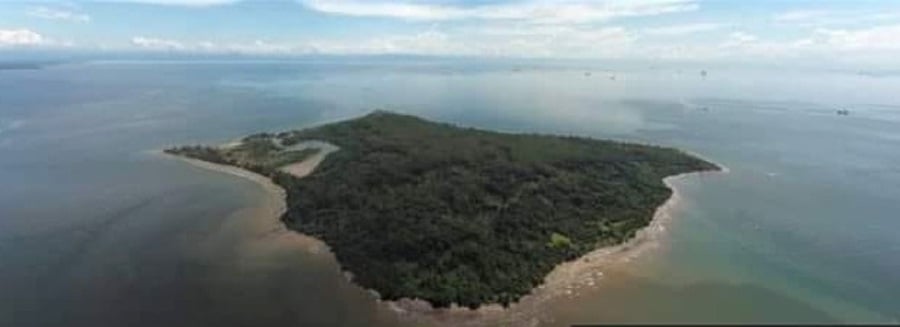 Daat Island is roughly 237.55 hectares in size. The notice for the public auction of the island was posted by the liquidator company in charge of the sale. 