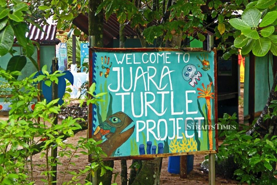 Welcome to Juara Turtle Project Tioman Island.