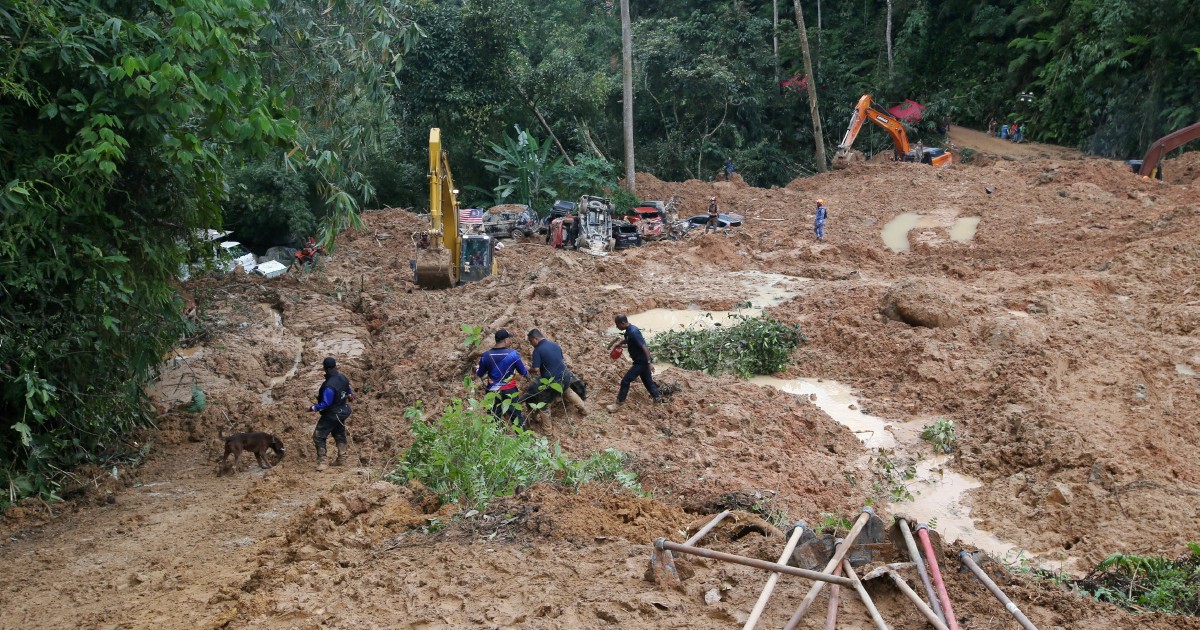 Rescuers cover more than 80pc of Batang Kali landslide site | New ...