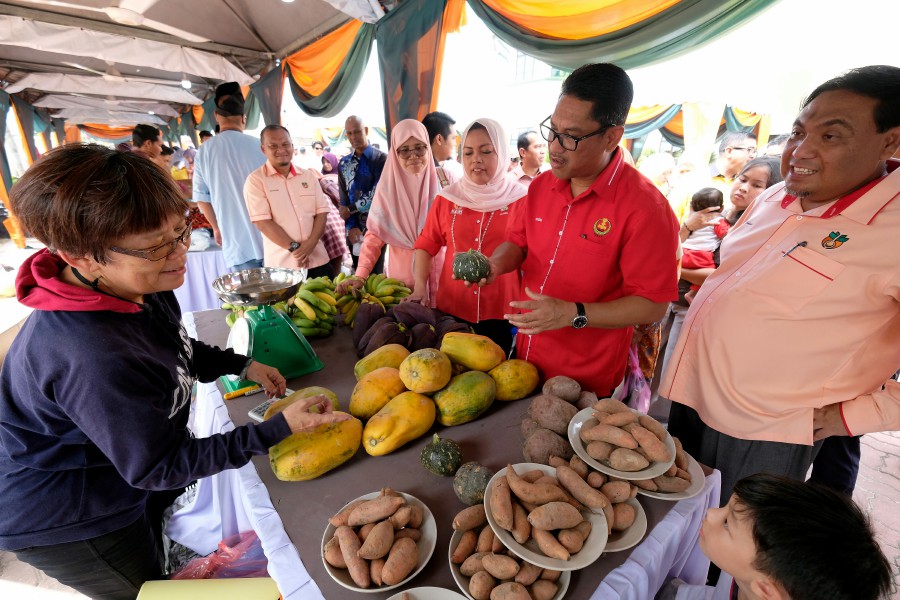 No need to panic over rare earth exploration research in Perak 