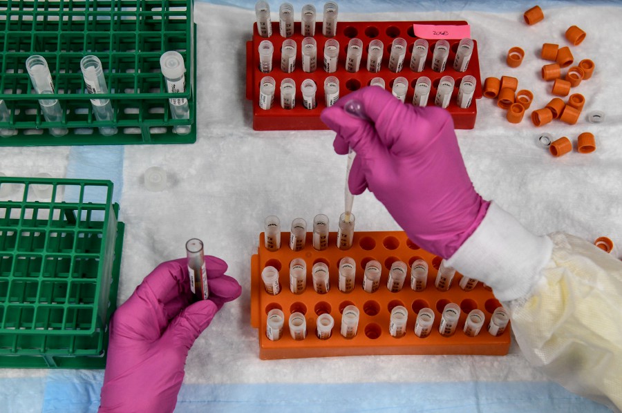 A lab technician sorts blood samples for a Covid-19 vaccination study at the Research Centers of America in Hollywood, Florida. -- Pix: AFP