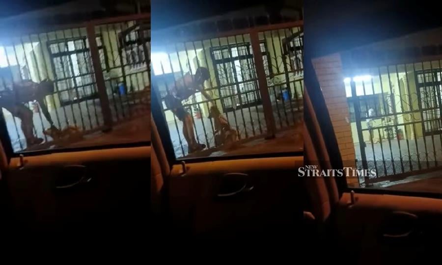 This photo combination, made from a viral video, shows the alleged dog abuse by the man in Taman Johor Jaya.