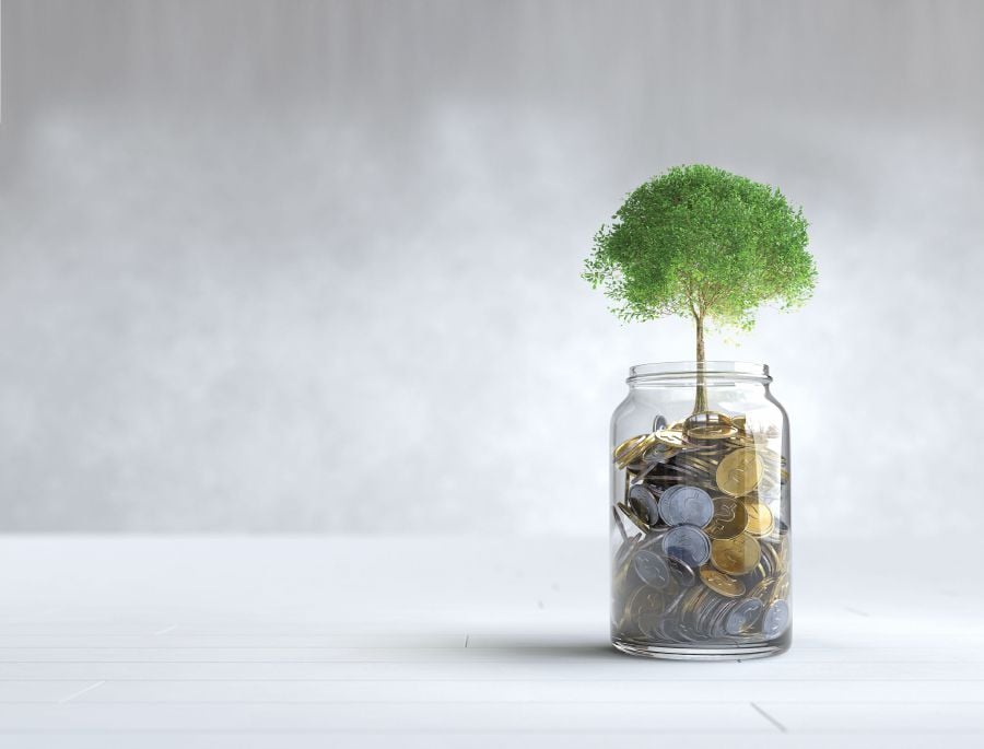 A tree grows on a coin in a glass jar, Money saving concept. (3D illustration)